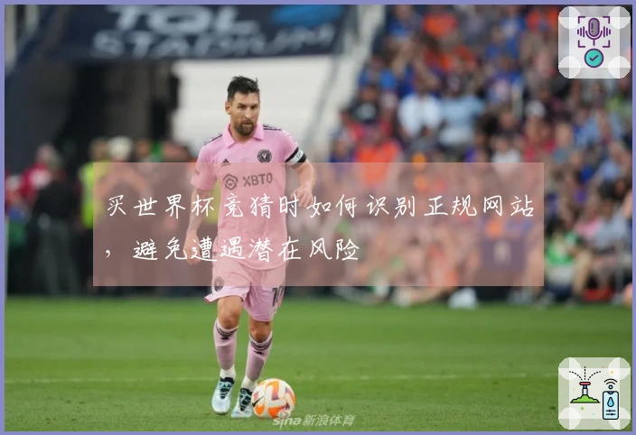 买世界杯竞猜时如何识别正规网站，避免遭遇潜在风险