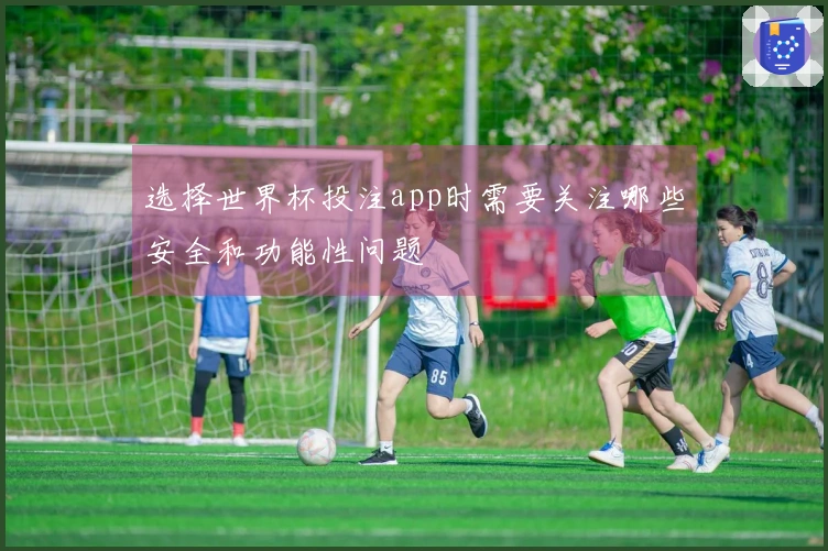 选择世界杯投注app时需要关注哪些安全和功能性问题