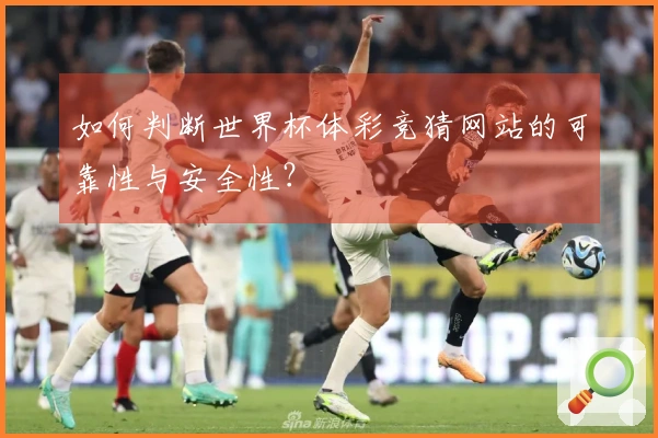 如何判断世界杯体彩竞猜网站的可靠性与安全性？