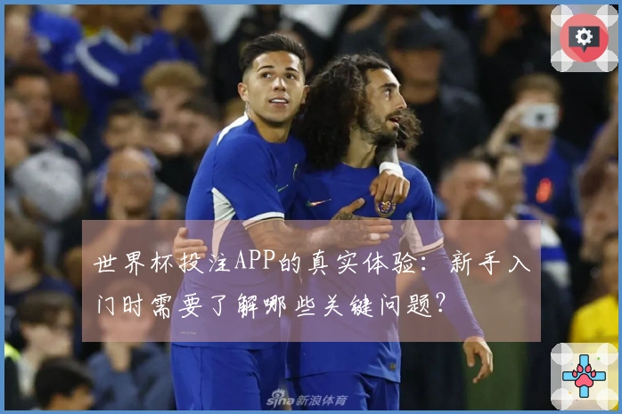 世界杯投注APP的真实体验：新手入门时需要了解哪些关键问题？