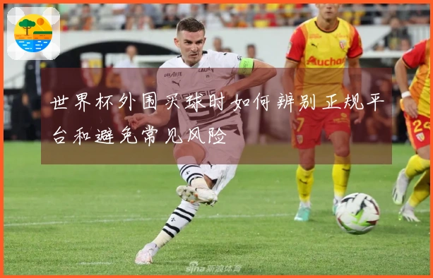 世界杯外围买球时如何辨别正规平台和避免常见风险