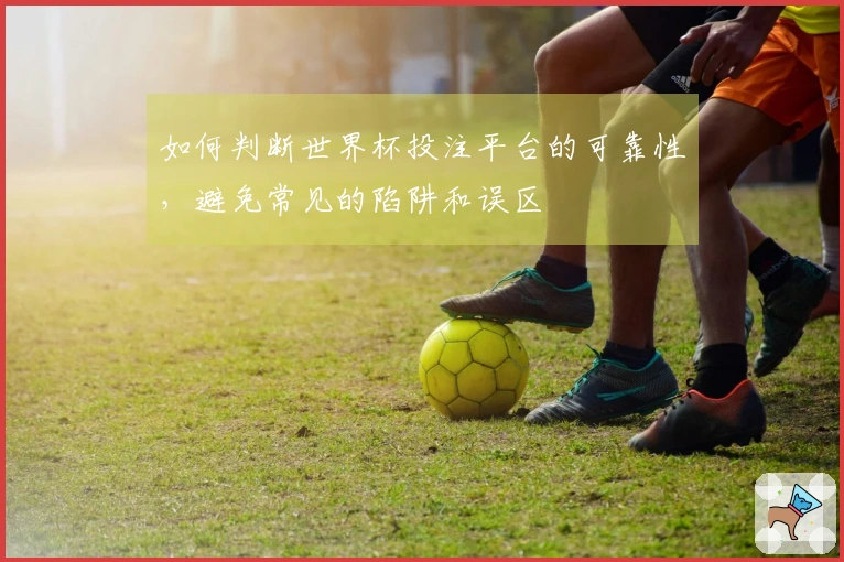 如何判断世界杯投注平台的可靠性，避免常见的陷阱和误区