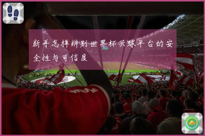 新手怎样辨别世界杯买球平台的安全性与可信度