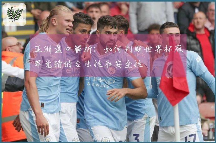 亚洲盘口解析：如何判断世界杯冠军竞猜的合法性和安全性