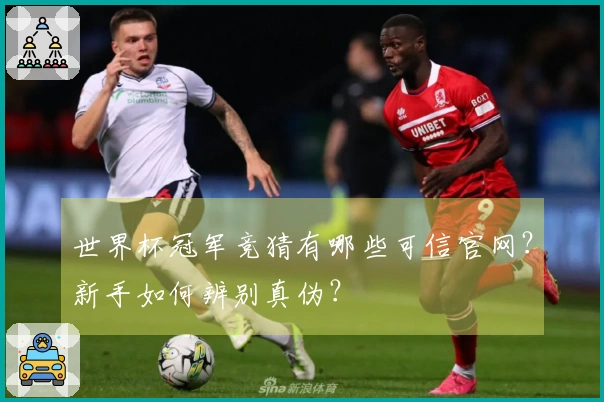 世界杯冠军竞猜有哪些可信官网？新手如何辨别真伪？