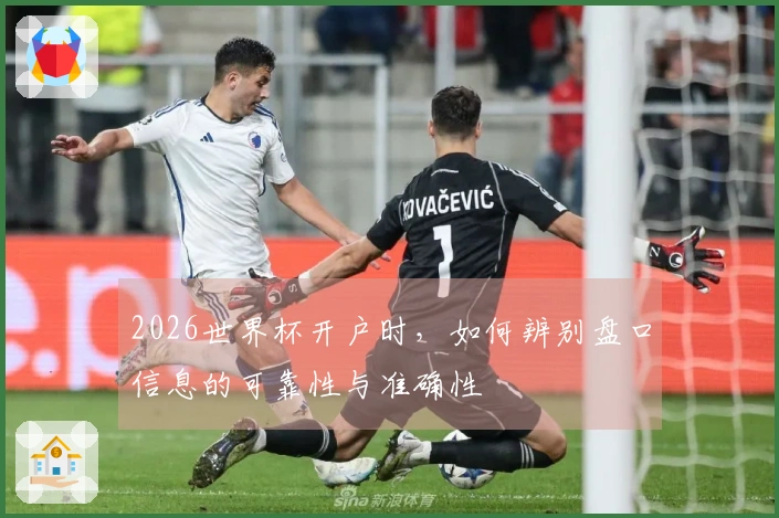 2026世界杯开户时，如何辨别盘口信息的可靠性与准确性