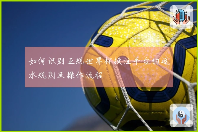 如何识别正规世界杯投注平台的返水规则及操作流程