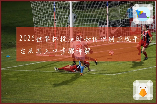 2026世界杯投注时如何识别正规平台及其入口步骤详解