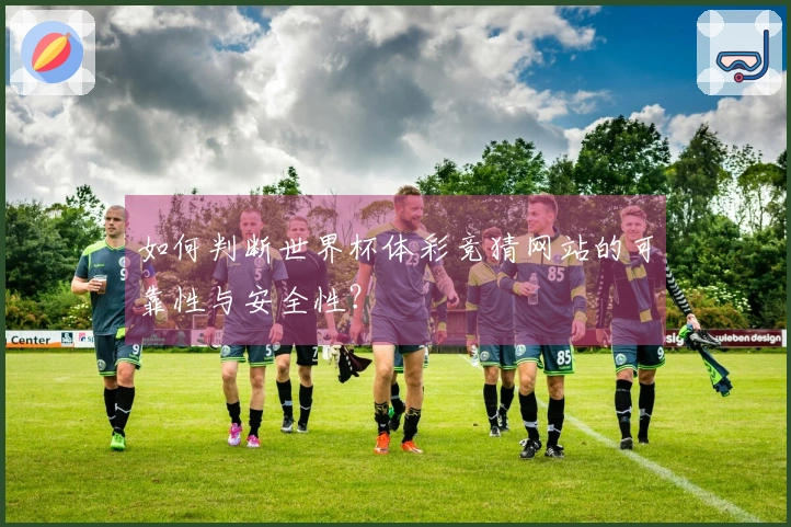 如何判断世界杯体彩竞猜网站的可靠性与安全性？
