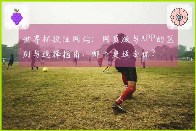 世界杯投注网站：网页版与APP的区别与选择指南，哪个更适合你？