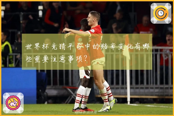 世界杯竞猜平台中的赔率变化有哪些重要注意事项？