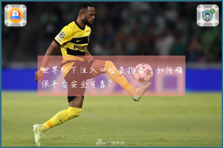 世界杯下注入口检查指南：如何确保平台安全可靠？