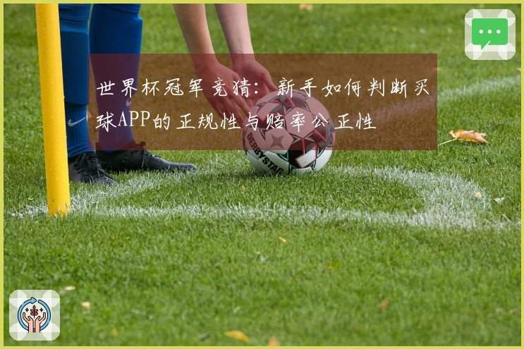 世界杯冠军竞猜：新手如何判断买球APP的正规性与赔率公正性