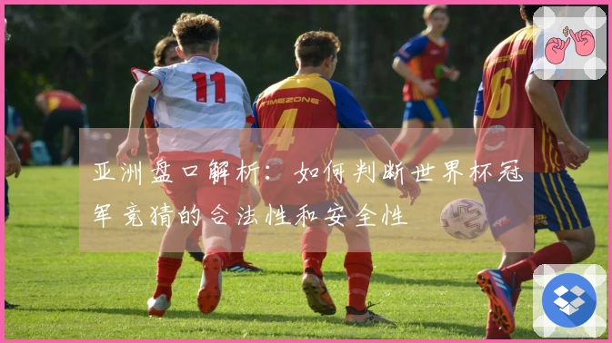 亚洲盘口解析：如何判断世界杯冠军竞猜的合法性和安全性