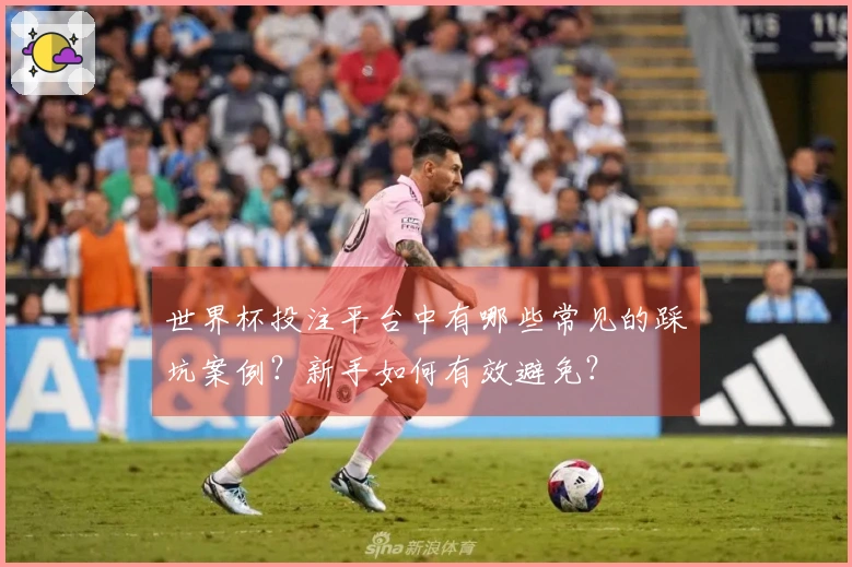 世界杯投注平台中有哪些常见的踩坑案例？新手如何有效避免？