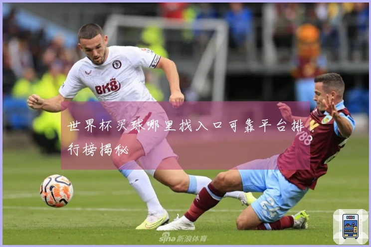 世界杯买球哪里找入口可靠平台排行榜揭秘