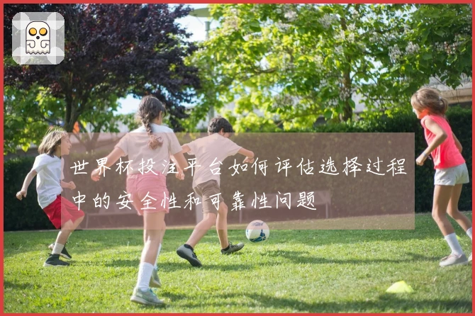 世界杯投注平台如何评估选择过程中的安全性和可靠性问题