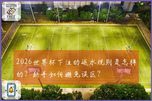2026世界杯下注的返水规则是怎样的？新手如何避免误区？