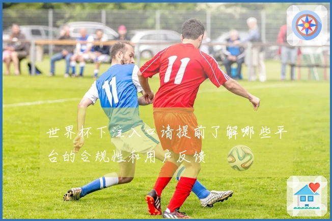 世界杯下注入口请提前了解哪些平台的合规性和用户反馈