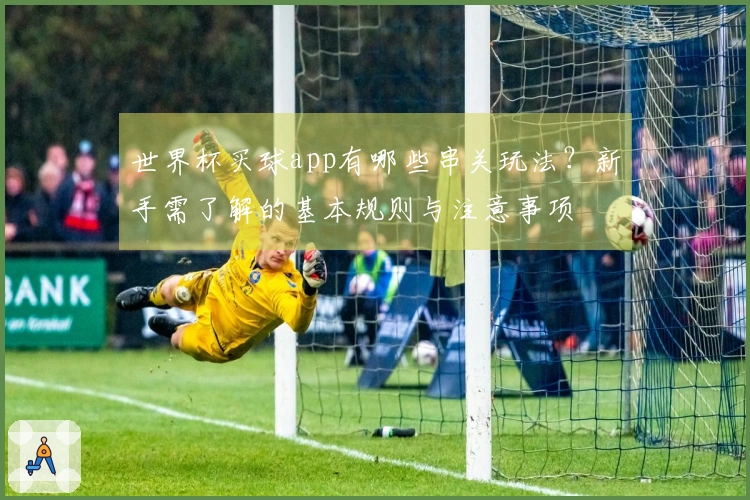 世界杯买球app有哪些串关玩法？新手需了解的基本规则与注意事项