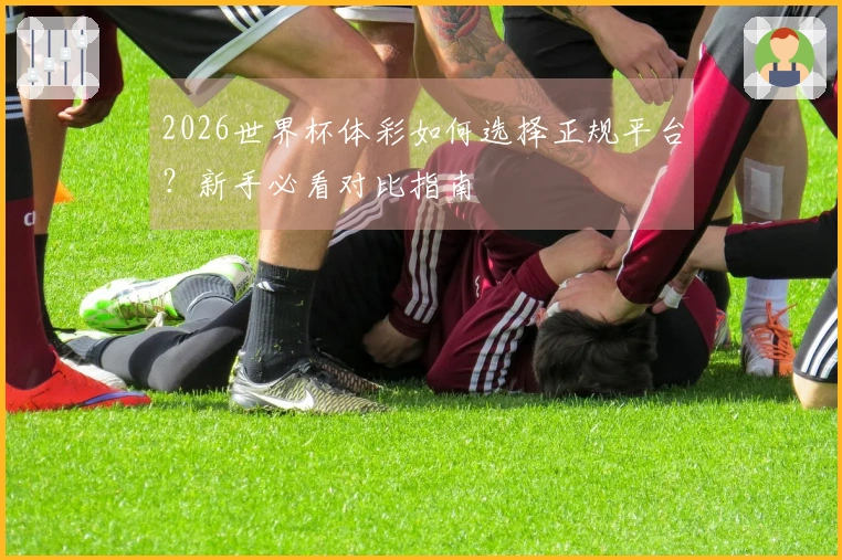 2026世界杯体彩如何选择正规平台？新手必看对比指南