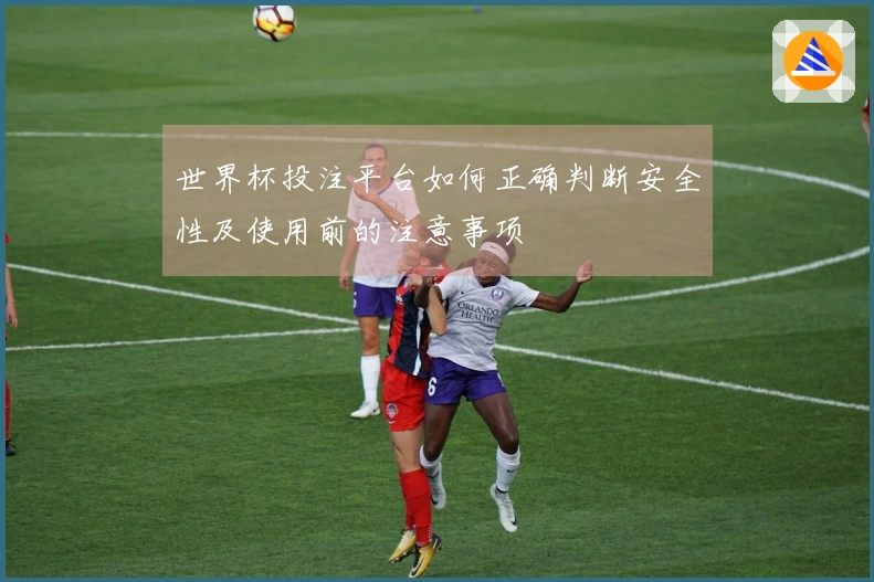 世界杯投注平台如何正确判断安全性及使用前的注意事项