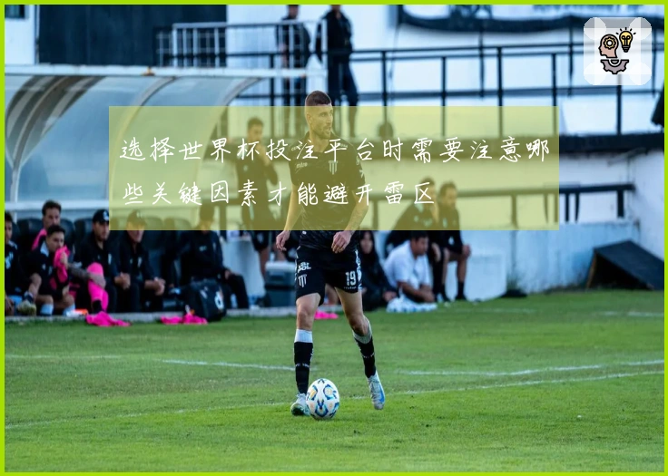 选择世界杯投注平台时需要注意哪些关键因素才能避开雷区