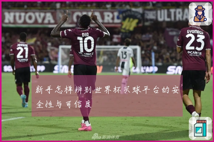 新手怎样辨别世界杯买球平台的安全性与可信度