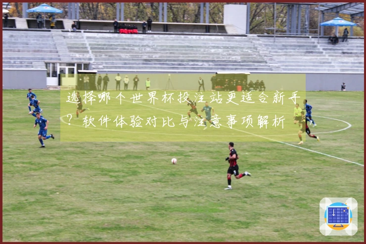 选择哪个世界杯投注站更适合新手？软件体验对比与注意事项解析